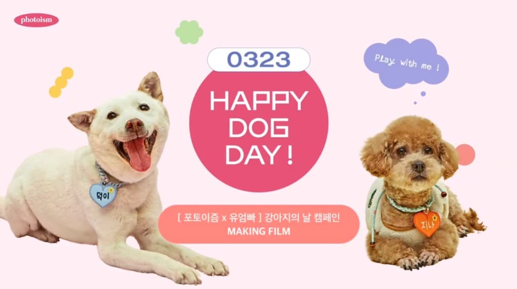[포토이즘x유엄빠] 펫토이즘 캠페인 영상